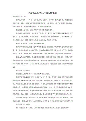 关于狗的说明文作文汇编十篇.docx