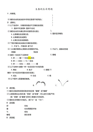 三年级下册科学同步练习2.5 蚕的生命周期∣教科版.docx