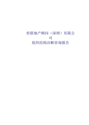 某顾问公司组织结构诊断咨询报告.docx