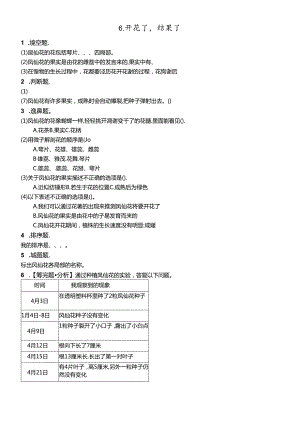 三年级下册科学同步练习6.开花了结果了∣教科版.docx