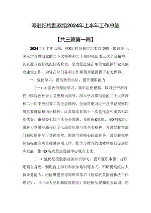 （3篇）派驻纪检监察组2024年上半年工作总结.docx