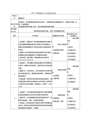 体育《跳跃练习》单元教学计划.docx