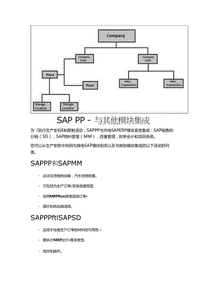 SAP PP 快速指南.docx