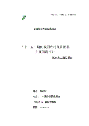 “十二五”期间我国农村经济面临主要问题研究——拓宽农民增收渠道.docx