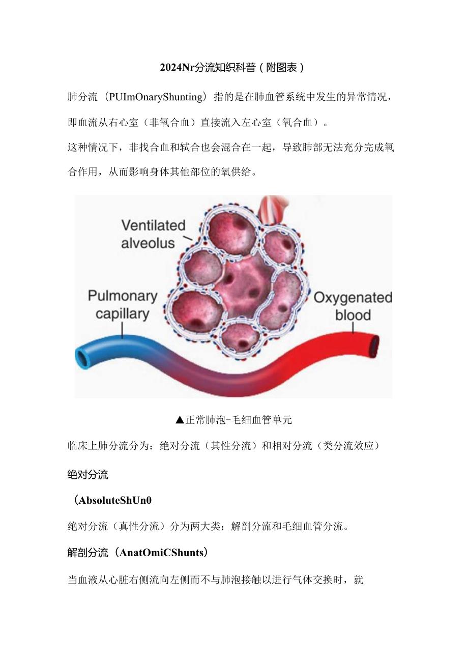 2024肺分流知识科普（附图表）.docx_第1页