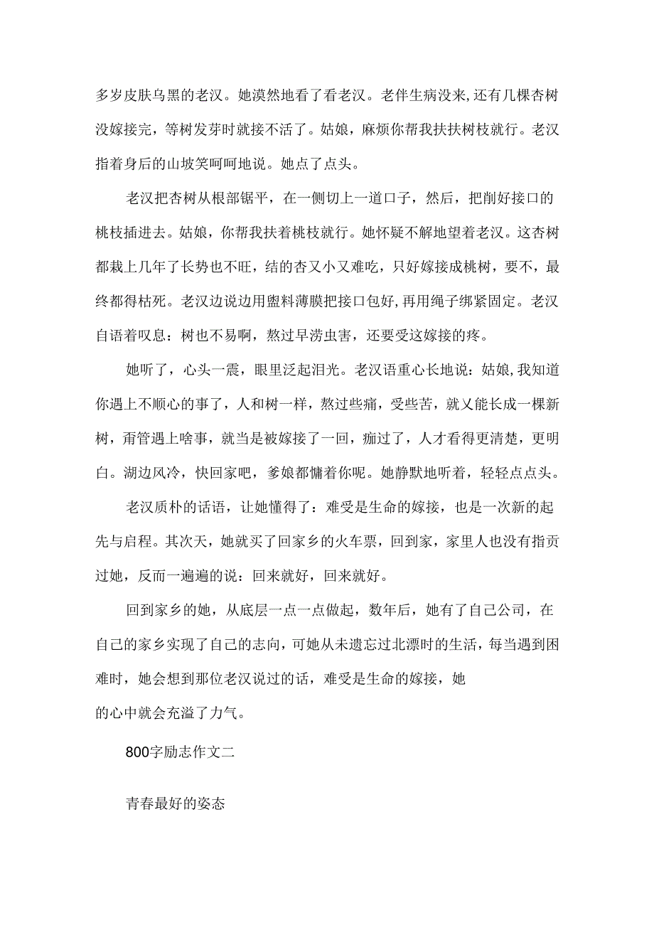 800字励志作文4篇.docx_第2页