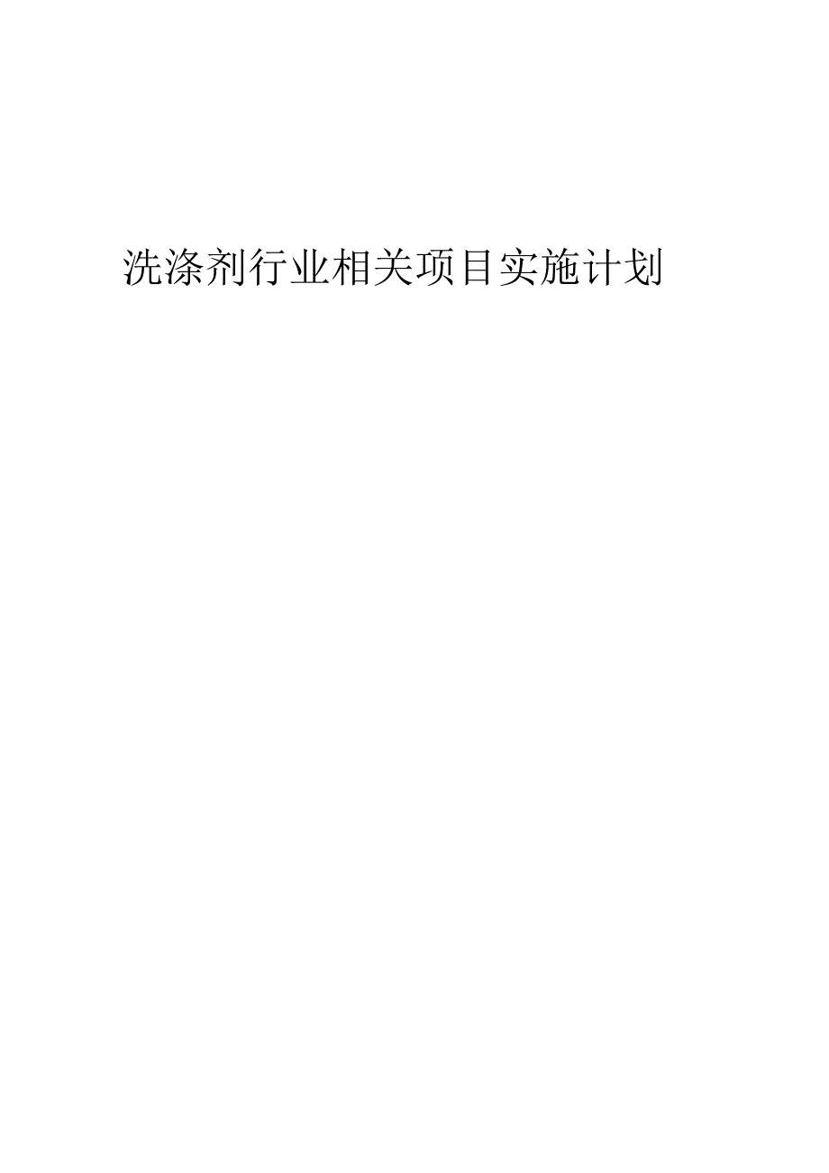 2023年洗涤剂行业相关项目实施计划.docx_第1页