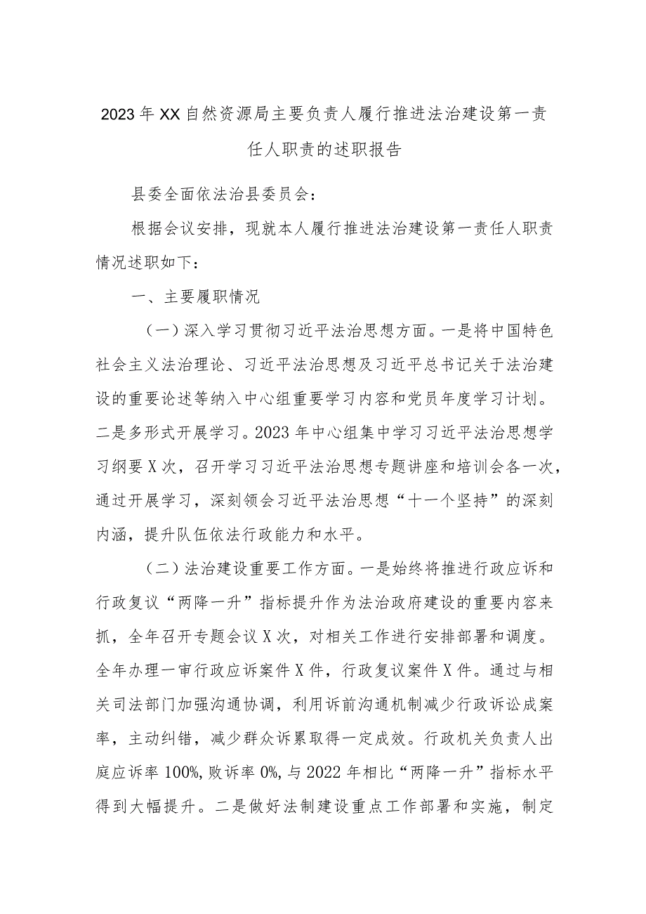 2023年XX自然资源局主要负责人履行推进法治建设第一责任人职责的述职报告.docx_第1页