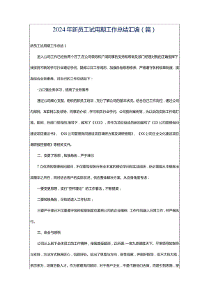 2024年新员工试用期工作总结汇编(篇).docx