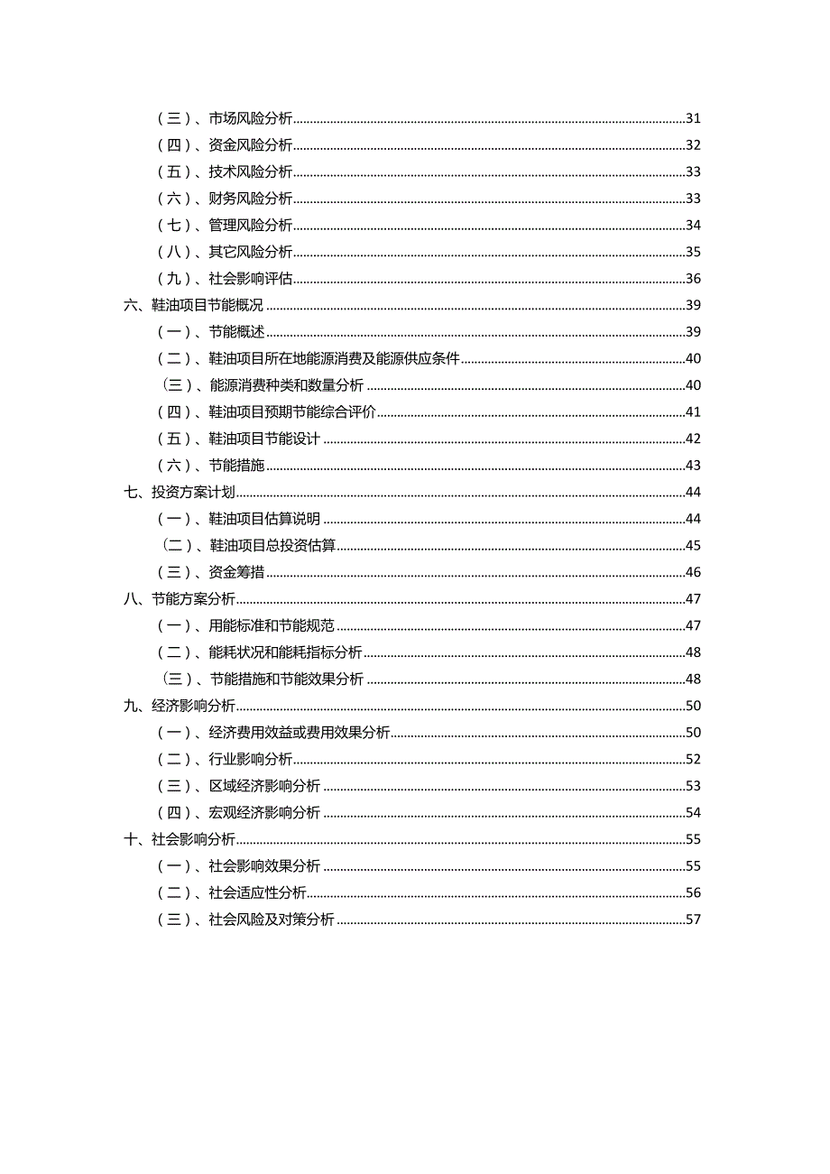 2023年鞋油相关项目运行指导方案.docx_第3页