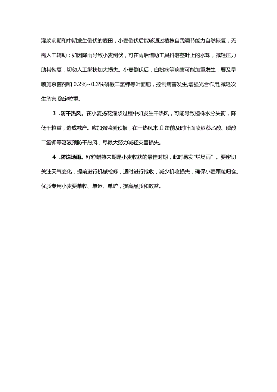 2024年山东省小麦中后期田间管理技术意见.docx_第3页