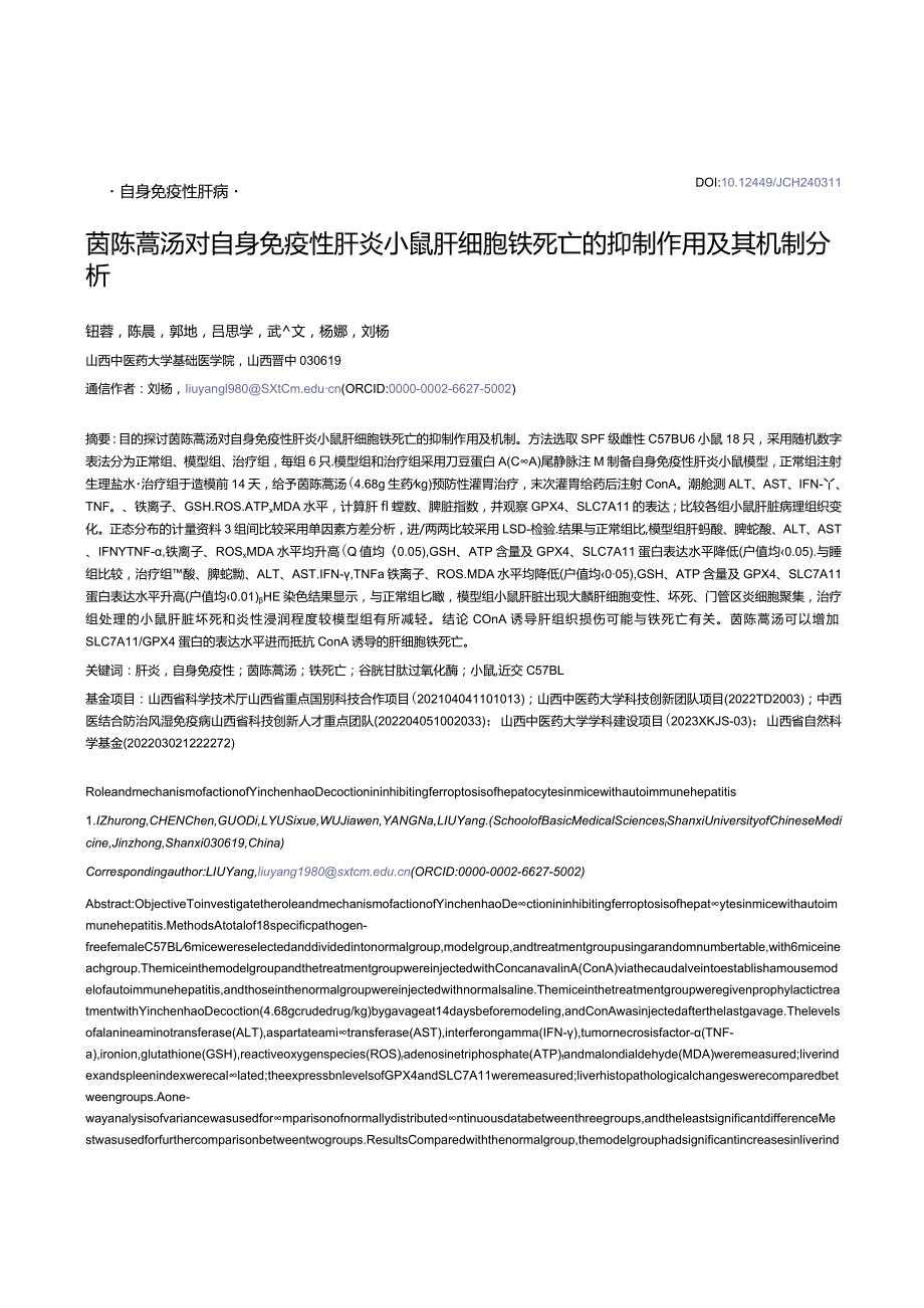 茵陈蒿汤对自身免疫性肝炎小鼠肝细胞铁死亡的抑制作用及其机制分析.docx_第1页