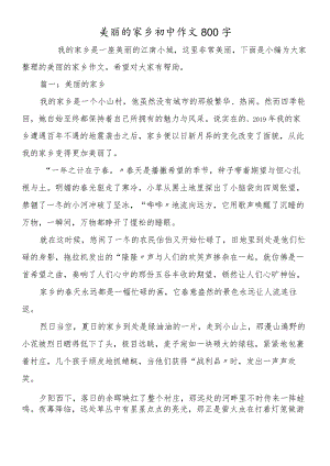 美丽的家乡初中作文800字.docx