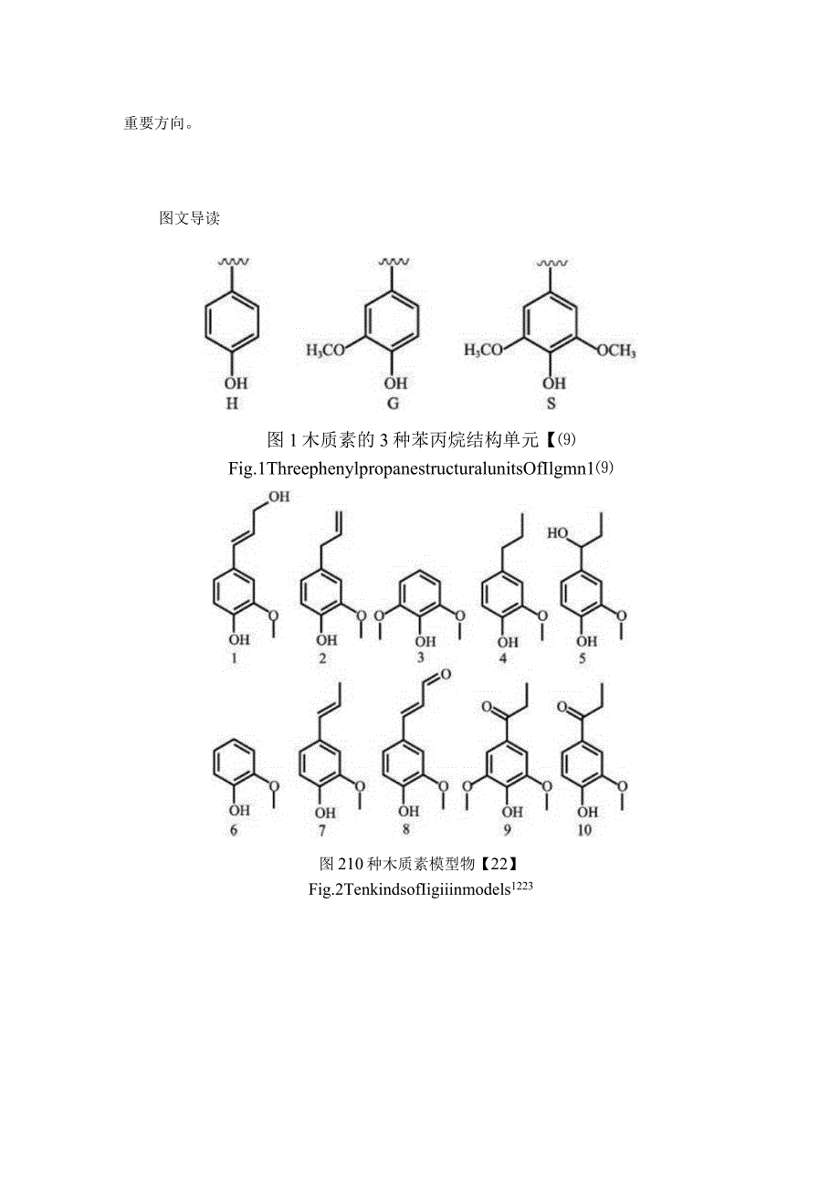 木质素抗氧化活性的构效关系研究及应用进展.docx_第3页