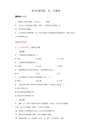 苏教版科学四年级下册13用根、茎、叶繁殖同步分层作业.docx