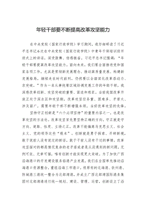 年轻干部要不断提高改革攻坚能力.docx