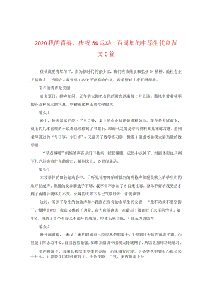 2024我的青春庆祝五四运动一百周年的生优秀版本3篇.docx