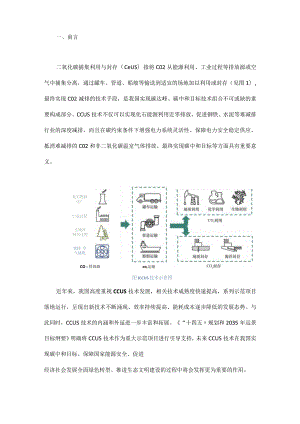 我国碳捕集利用与封存技术发展研究.docx