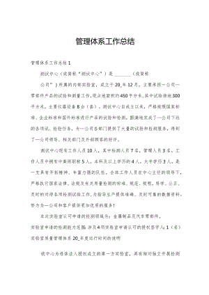 管理体系工作总结.docx