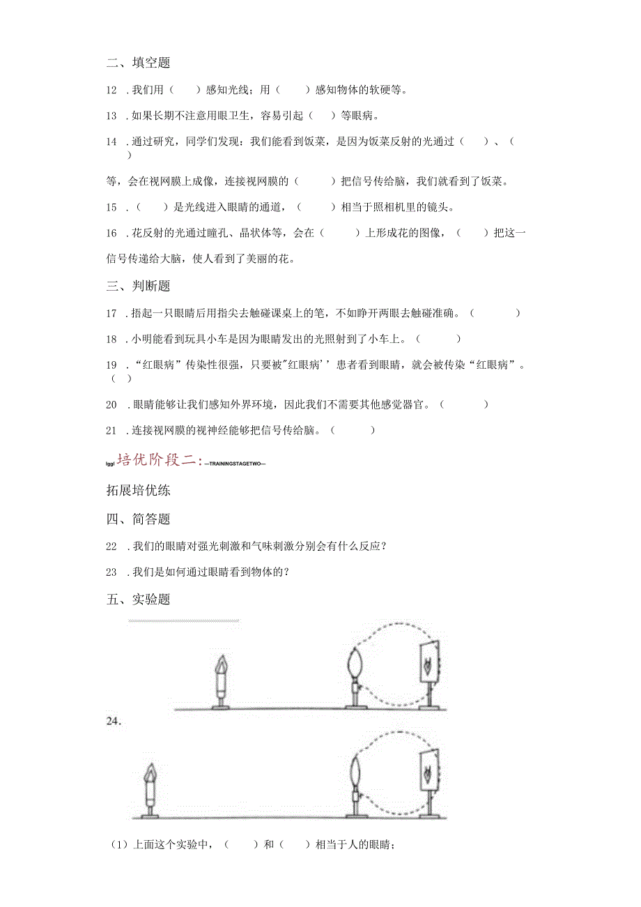 青岛版科学六年级下册1视觉练习卷.docx_第2页