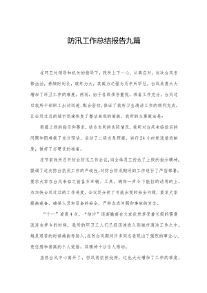 防汛工作总结报告九篇.docx