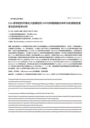 CCl4诱导的肝纤维化大鼠模型肝小叶内卵圆细胞总体积与轮廓数密度变化的体视学分析.docx