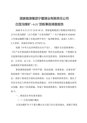 国家能源集团宁夏煤业有限责任公司白芨沟煤矿“6·21”顶板事故调查报告.docx