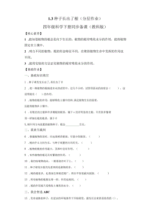 教科版科学四年级下册1-3种子长出了根练习卷.docx