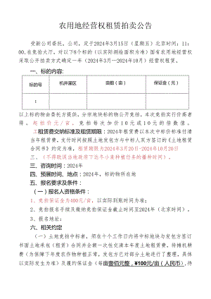 土地租赁经营权拍卖公告.docx