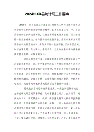 2024年XX县统计局工作要点.docx