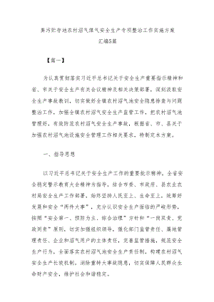 (5篇)粪污贮存池农村沼气煤气安全生产专项整治工作实施方案汇编.docx