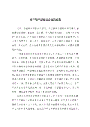 2篇 市年轻干部座谈会交流发言+政府办公室干部考察材料.docx