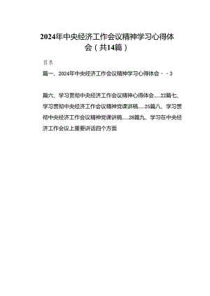 2024年中央经济工作会议精神学习心得体会14篇（最新版）.docx