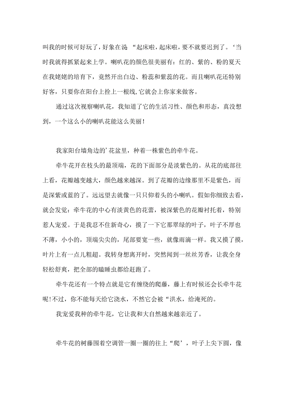 300字小学作文：观察一棵牵牛花「」.docx_第3页