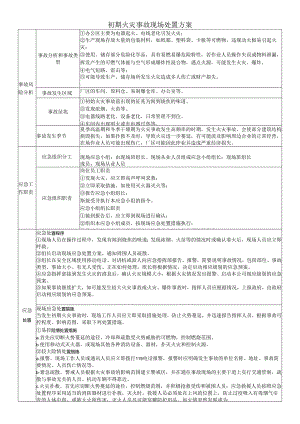 初期火灾事故现场处置方案.docx