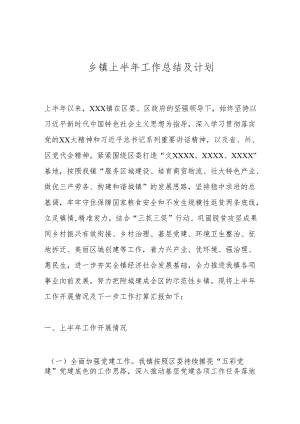 乡镇上半年工作总结及计划.docx