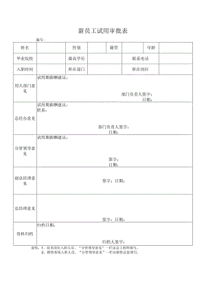 新员工试用审批表.docx