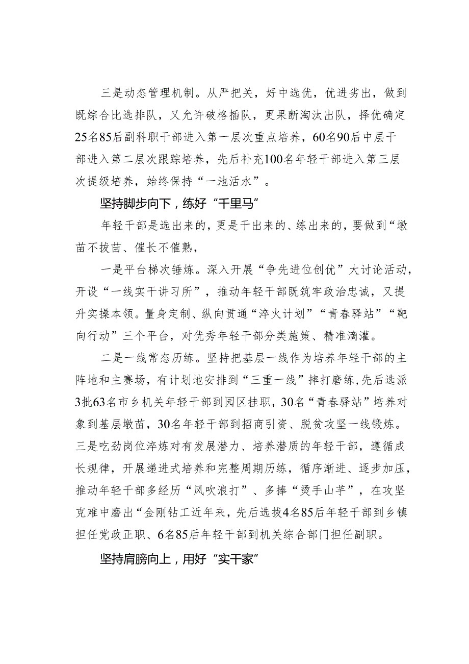 某某市系统谋划梯次推进奋力实现年轻干部工作高质量经验交流材料.docx_第2页