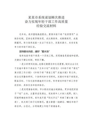 某某市系统谋划梯次推进奋力实现年轻干部工作高质量经验交流材料.docx