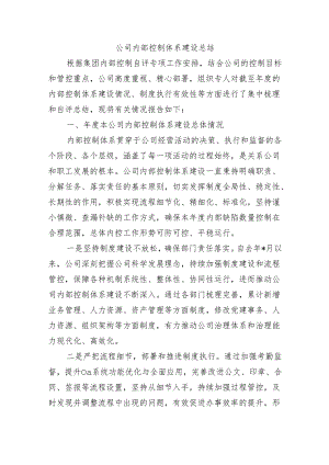 公司内部控制体系建设总结.docx