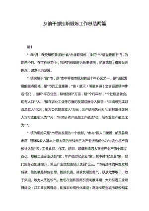 乡镇干部挂职锻炼工作总结两篇.docx