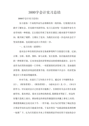 3000字会计实习总结.docx