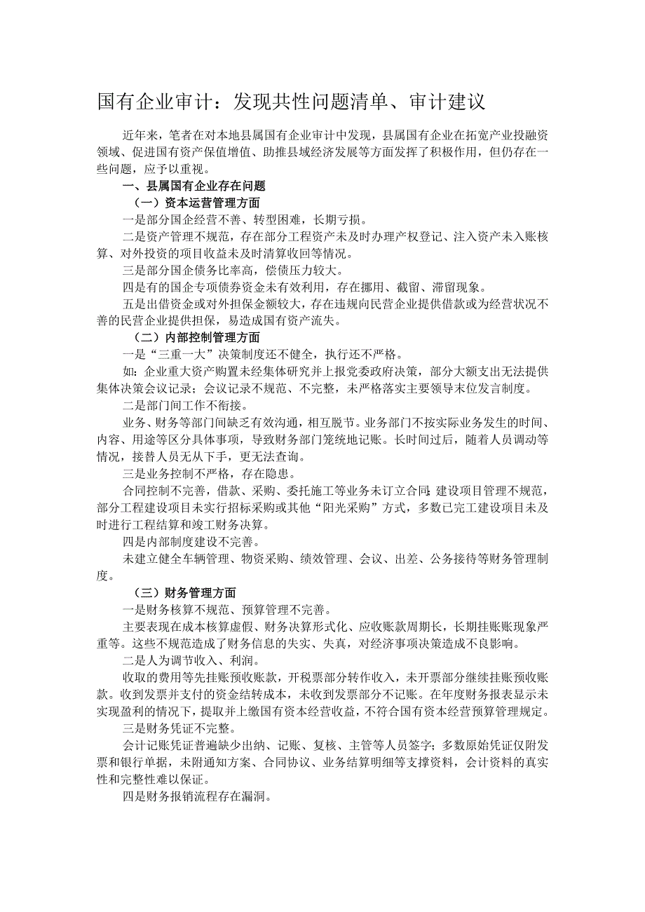 国有企业审计：发现共性问题清单、审计建议.docx_第1页