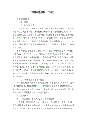 项目自查报告（32篇）.docx