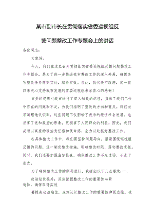 某市副市长在贯彻落实省委巡视组反馈问题整改工作专题会上的讲话.docx