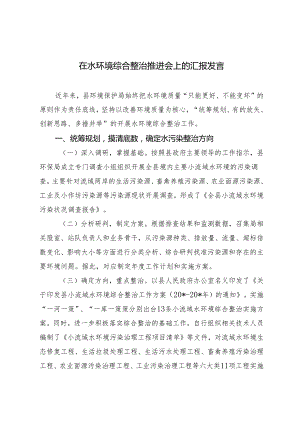 2024年在水环境综合整治推进会上的汇报发言.docx