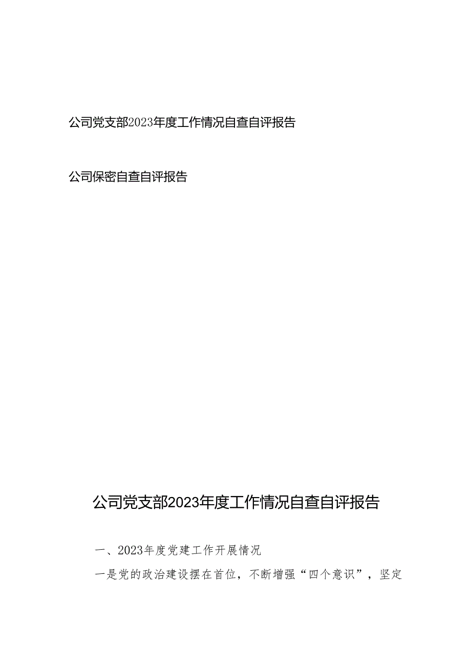 公司党支部2023年度工作情况自查自评报告+公司保密自查自评报告.docx_第1页