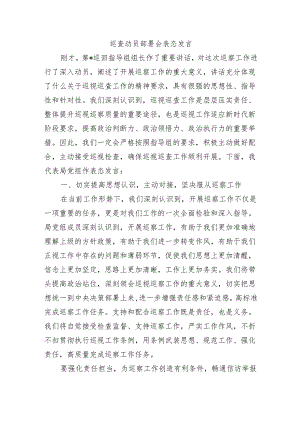 巡查动员部署会表态发言.docx