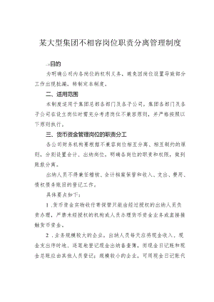 某大型集团不相容岗位职责分离管理制度.docx