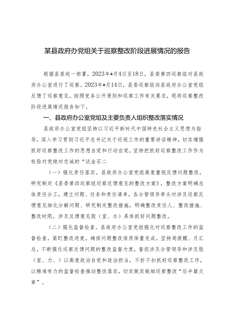 2024年县政府办党组关于巡察整改阶段进展情况的报告.docx_第1页